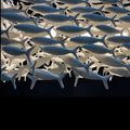 Porcelain Fish Shape Dining Table Chandelier - Camilalamps - CA - X - 14507