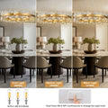 Chandelier for Dining Room, D39.4 Gold K9 Crystal Pendant Light, 20 - Light Round Over Table, Hanging Ceiling Light Fixture for Kitchen Island, Entryway, Foyer - Camilalamps - B0DMFF1692