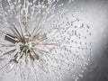 Dandelion Round Chandelier 22''30''43'' - Camilalamps - CA - 2036H137