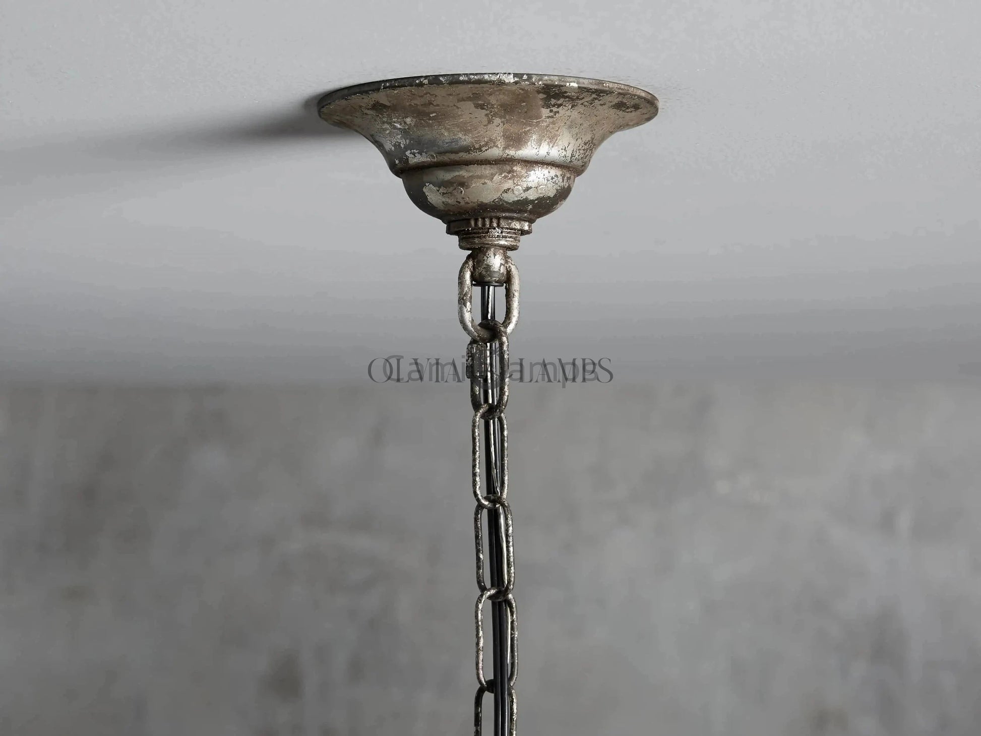 Fotini Chandelier - Camilalamps - CA - 636H0151