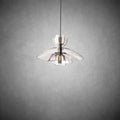 Blum Glass Cloche Grand Pendant - Camilalamps - CA - CH6032