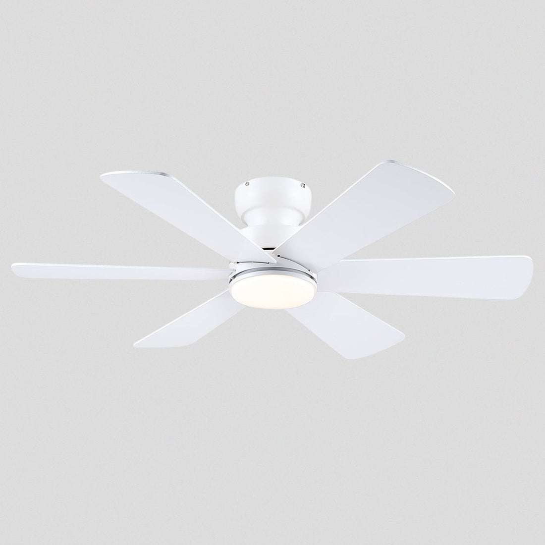 Celestial Wind Ceiling Fans with Lights - Camilalamps - CA - TO00794