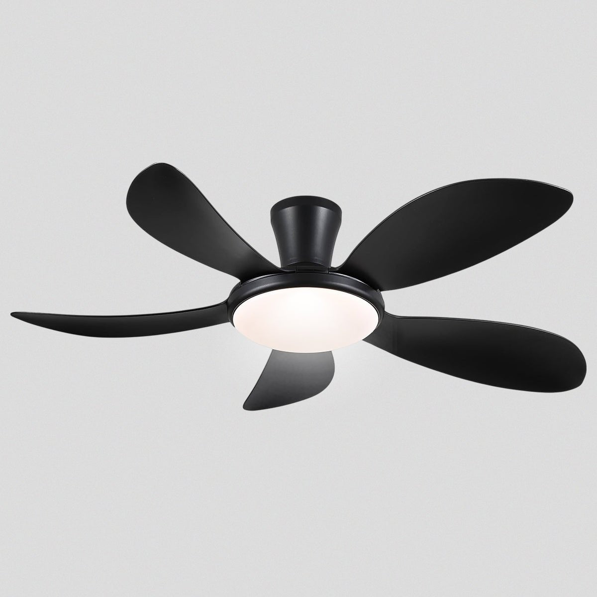 Modern LED Ceiling Fans Low Profile Ceiling Fans with Lights 6 Speeds 48" - Camilalamps - CA - CFWL - 013