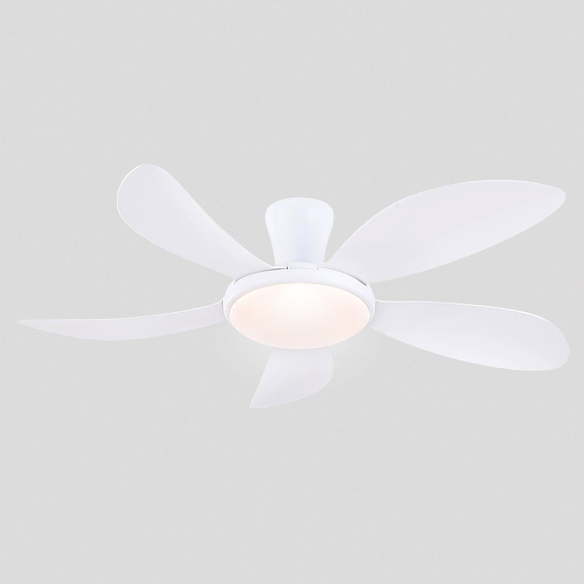 Modern LED Ceiling Fans Low Profile Ceiling Fans with Lights 6 Speeds 48" - Camilalamps - CA - CFWL - 013