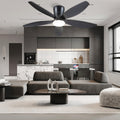 Indoor/Outdoor Recessed Black Ceiling Fan Light - Camilalamps - CA - 48IN - 48CB