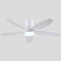 Indoor/Outdoor Recessed Black Ceiling Fan Light - Camilalamps - CA - 48IN - 48CW
