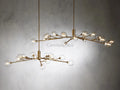 Sayre Round Clear Glass Globe Chandelier - Camilalamps - CAA - 10018A8