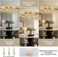 Modern Gold 2 - Tier Crystal Chandelier with 20 E12 Bulbs - Camilalamps - CA-B0CT8M6Y38