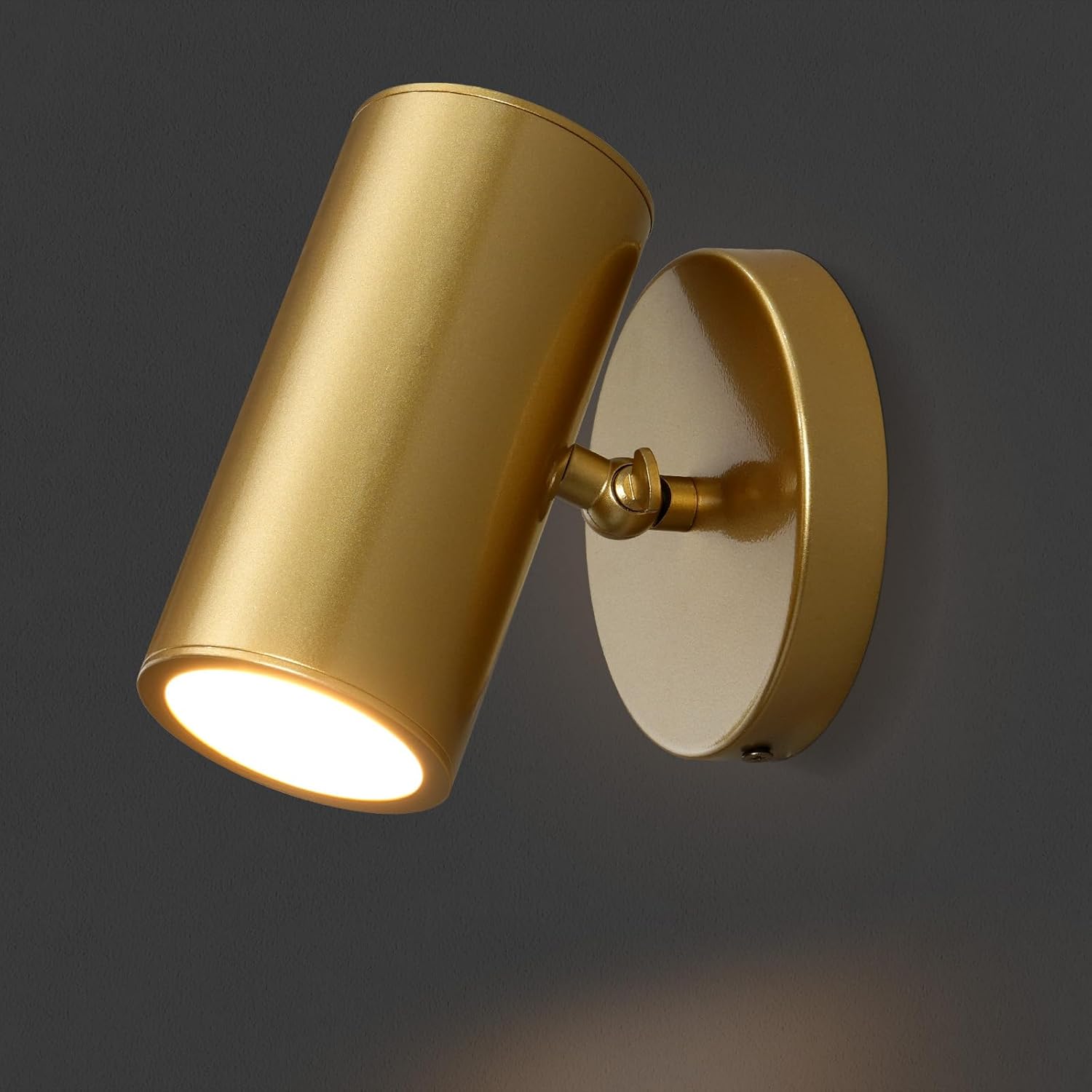 Gold Brass Picture Light Sconce with Adjustable LED, Wall Mount - Camilalamps - CA-B0F9SJ81FQ