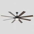 Ventora Fans with Lights - Camilalamps - CA - FA7074