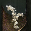 Ginkgo Combination Chandelier - Camilalamps - CA - BU2024 - C1990