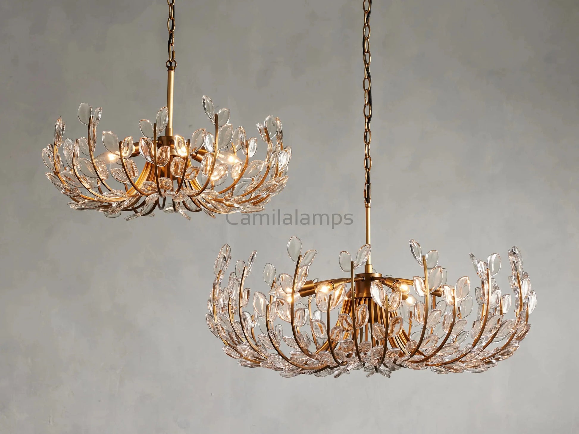 Adela 6 Light Chandelier - Camilalamps - Ca-110031H70