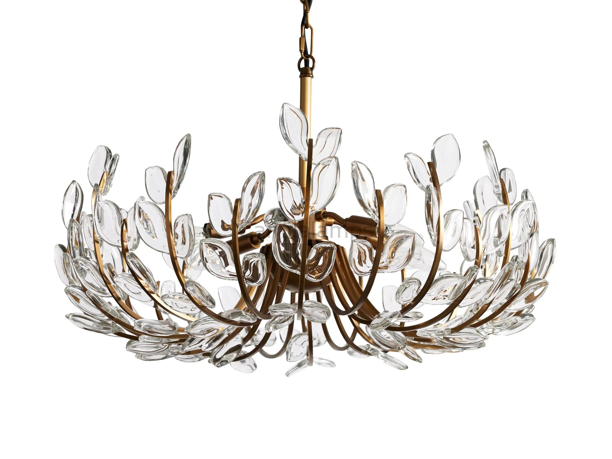 Adela 6 Light Chandelier - Camilalamps - CA - 10031H70