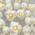 Bloom Ceramic Chandelier - Camilalamps - Ca-1218539-114