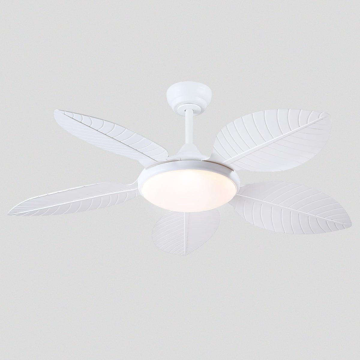 Ceiling Fan Palm Leaf Ceiling Fan 6 Speeds Reversible Ceiling Fans with Lights 48" - Camilalamps - CA - CFWL - 006