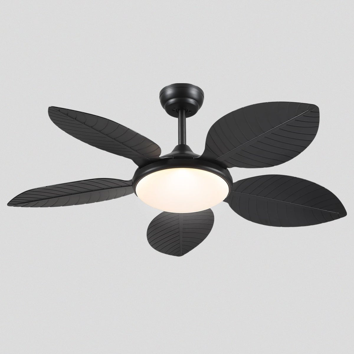 Ceiling Fan Palm Leaf Ceiling Fan 6 Speeds Reversible Ceiling Fans with Lights 48" - Camilalamps - CA - CFWL - 006