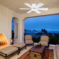 Celestial Wind Ceiling Fans with Lights - Camilalamps - CA - TO00792