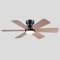 Celestial Wind Ceiling Fans with Lights - Camilalamps - CA - TO00795