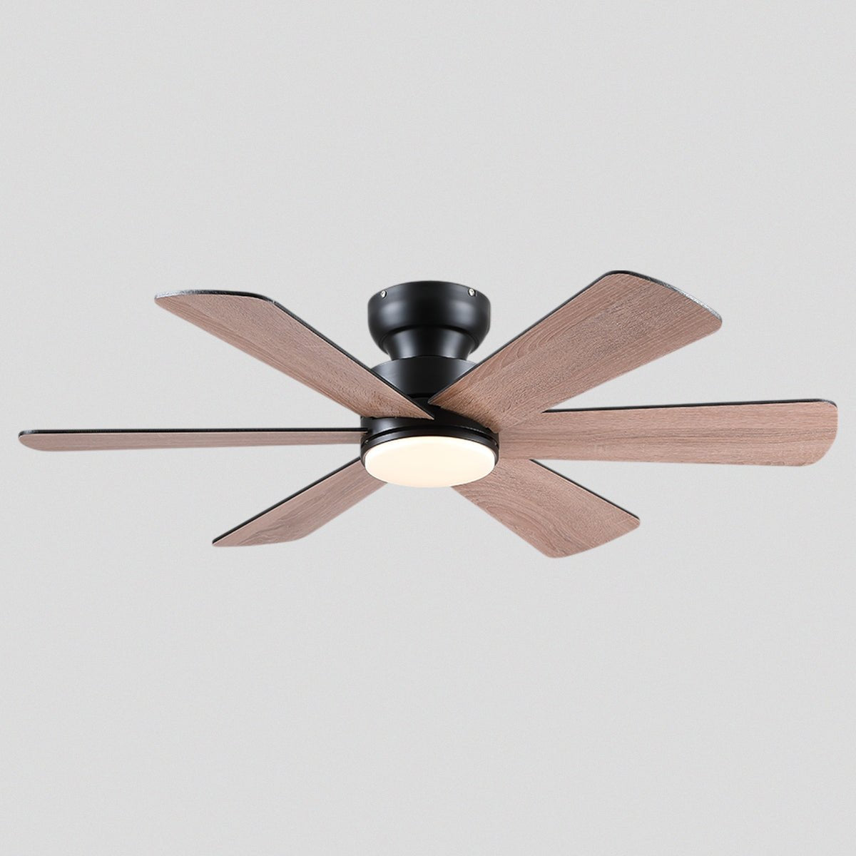 Celestial Wind Ceiling Fans with Lights - Camilalamps - CA - TO00795