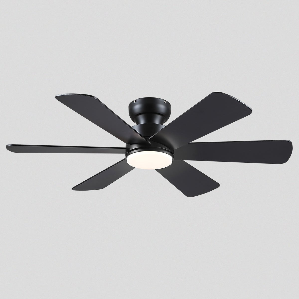 Celestial Wind Ceiling Fans with Lights - Camilalamps - CA - TO00792