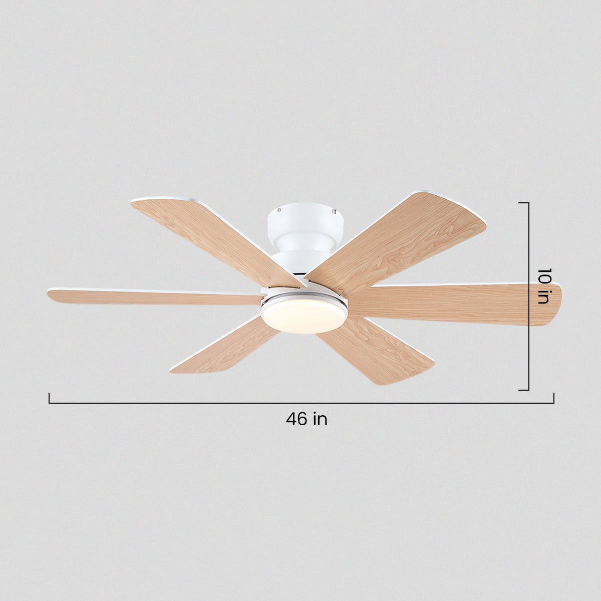Celestial Wind Ceiling Fans with Lights - Camilalamps - CA - TO00792