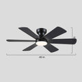 Celestial Wind Ceiling Fans with Lights - Camilalamps - CA - TO00792