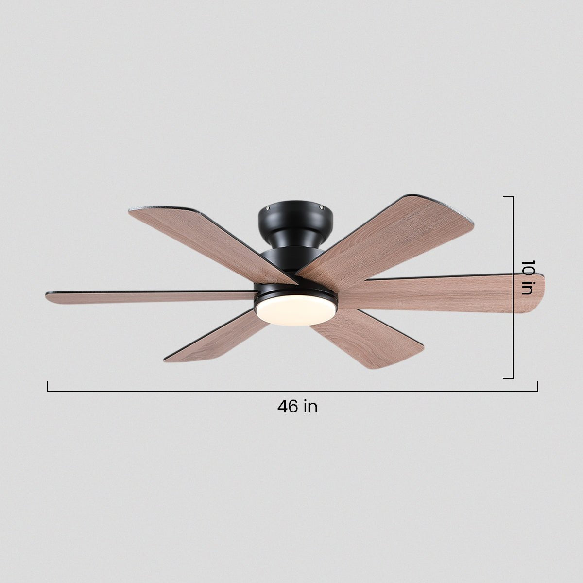 Celestial Wind Ceiling Fans with Lights - Camilalamps - CA - TO00792