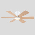 Celestial Wind Ceiling Fans with Lights - Camilalamps - CA - TO00794