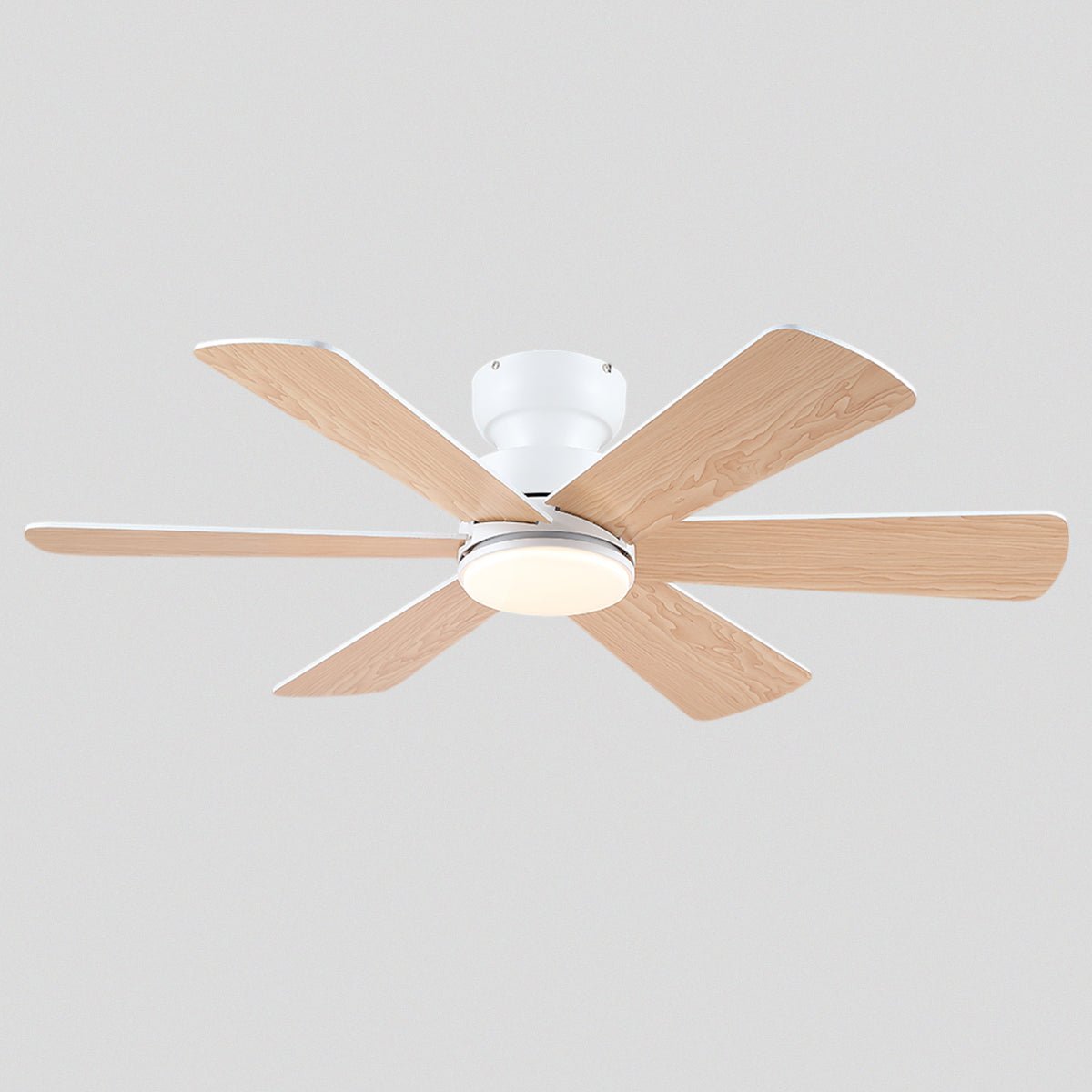 Celestial Wind Ceiling Fans with Lights - Camilalamps - CA - TO00794