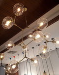 Covington Horizontal Globe Branching Bubble Chandelier - Camilalamps - CHCUS - 6