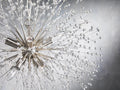 Dandelion Round Chandelier 22''30''43'' - Camilalamps - Ca-12036H137