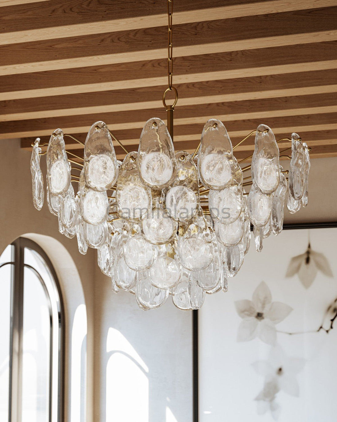 Darcia Clear Functional Design Chandelier - Camilalamps - 8305-1aGB