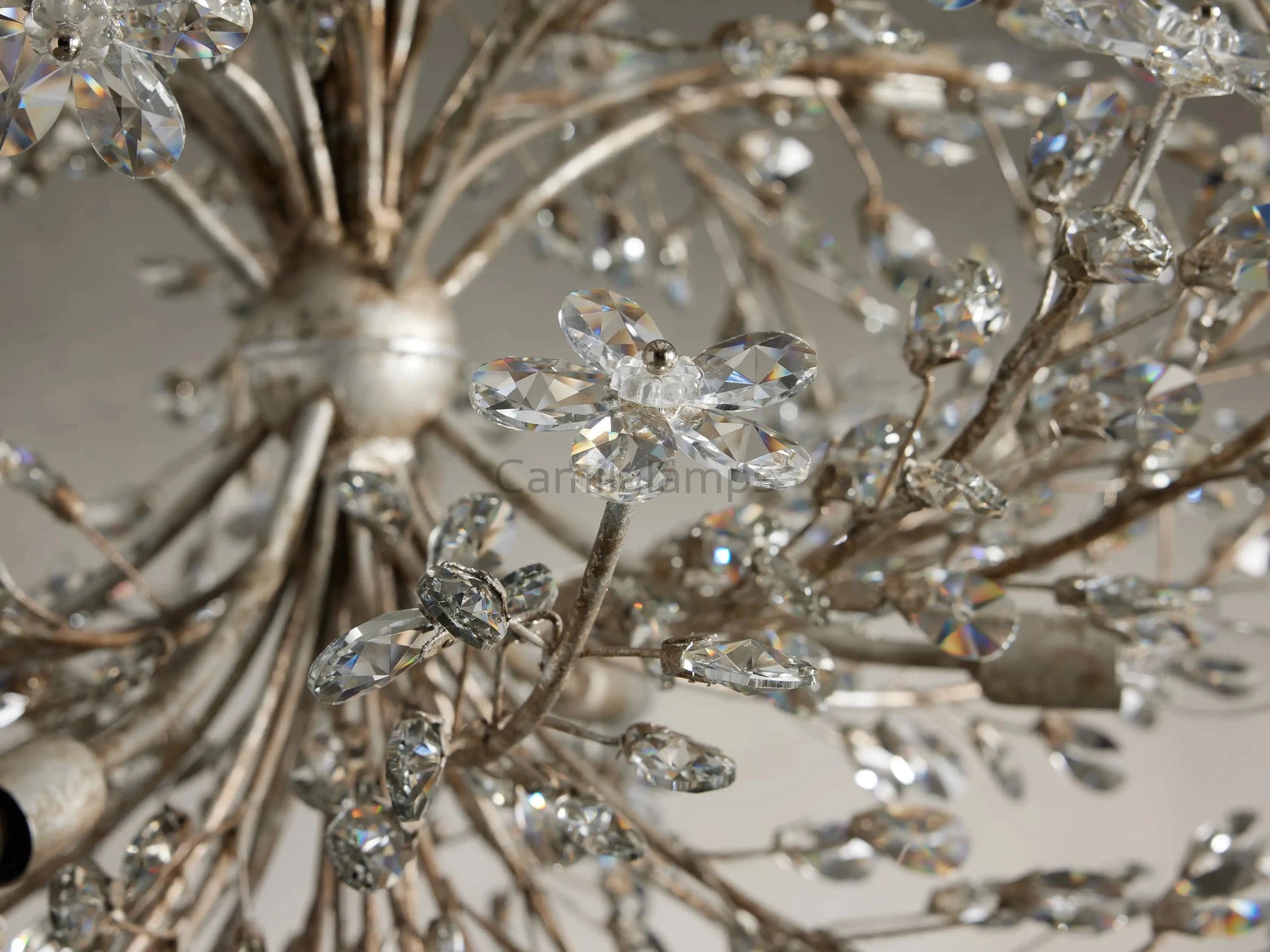 Fiore 8 - Light Round Chandelier - Camilalamps - CA - 636H675