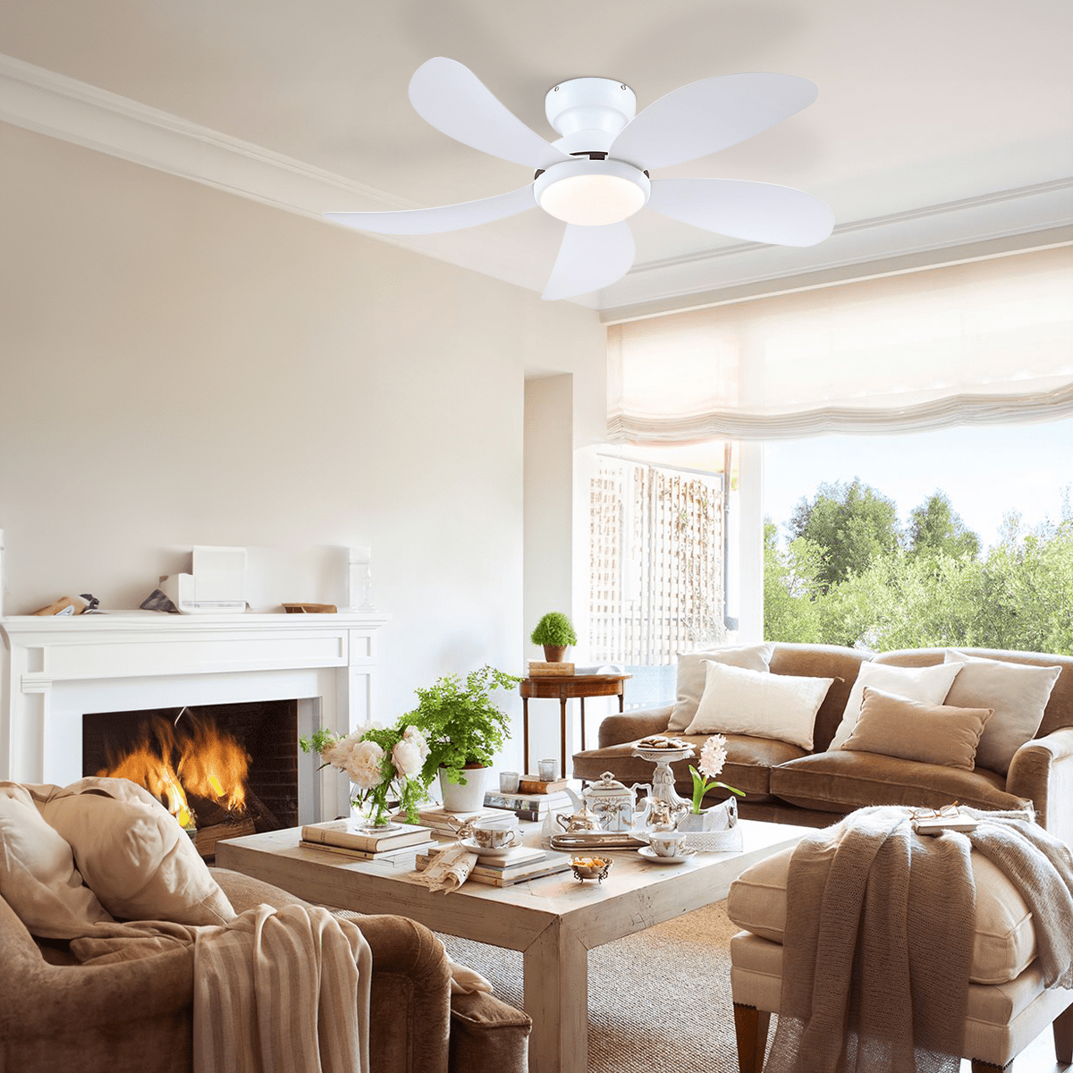 Graceshire contemporary ceiling fan - Camilalamps - CA - TO00784