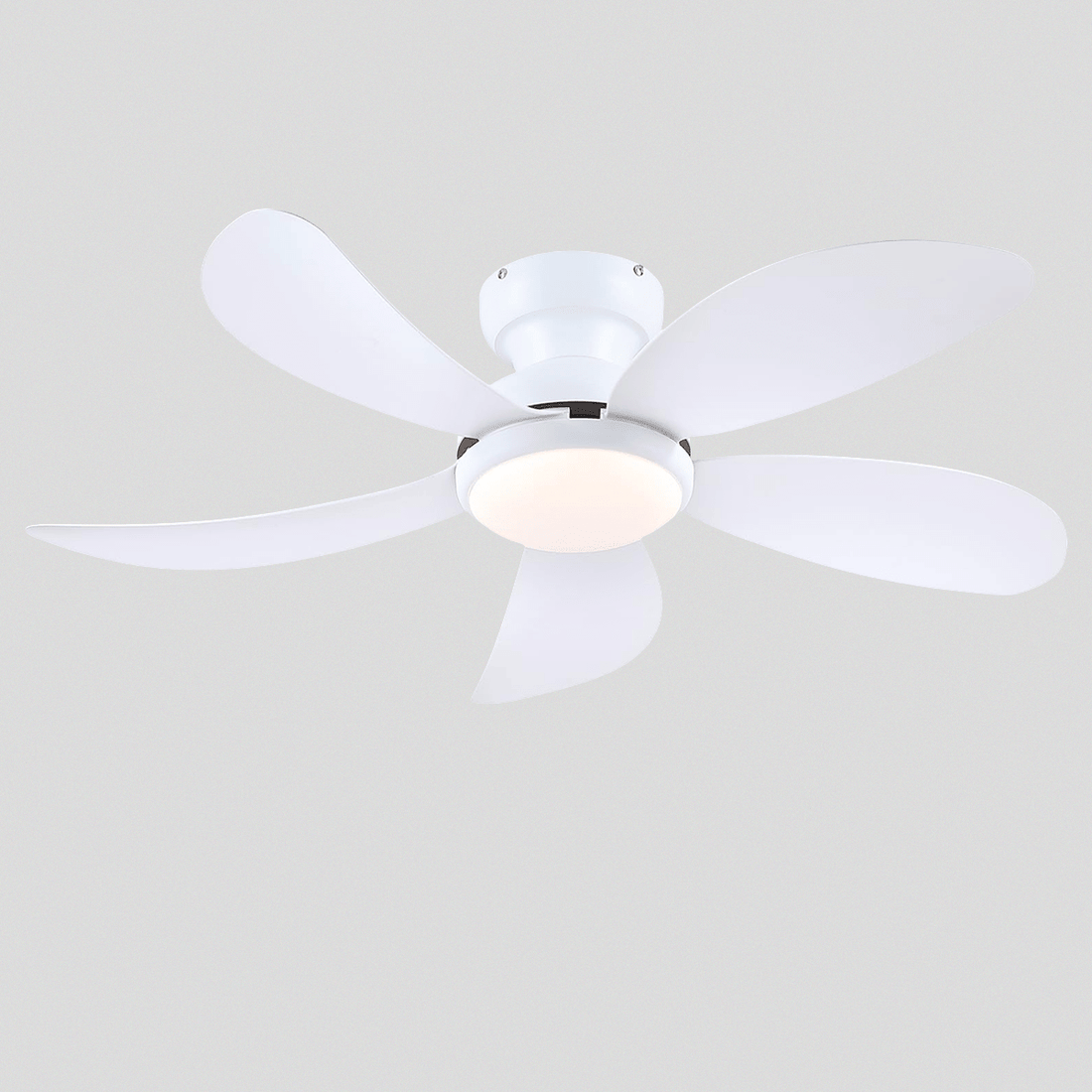 Graceshire contemporary ceiling fan - Camilalamps - CA - TO00782