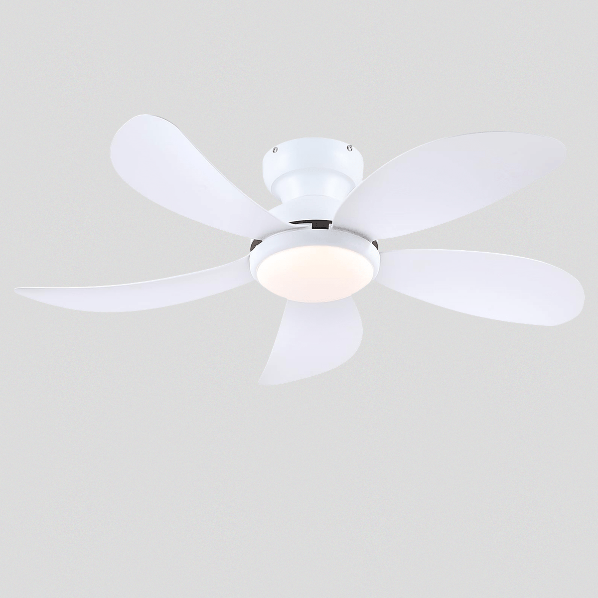 Graceshire contemporary ceiling fan - Camilalamps - CA - TO00783