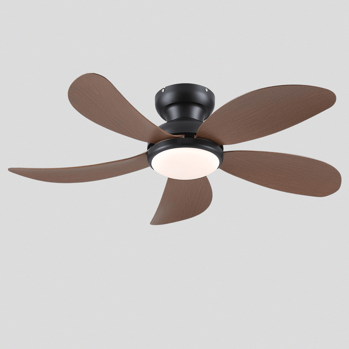Graceshire contemporary ceiling fan - Camilalamps - CA - TO00784