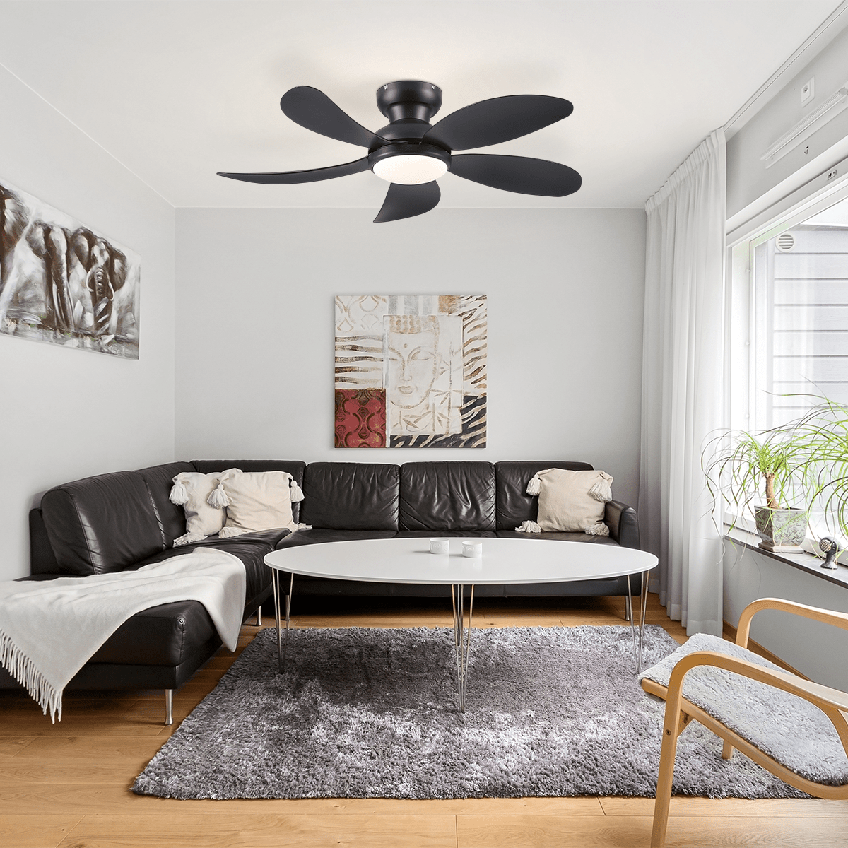 Graceshire contemporary ceiling fan - Camilalamps - CA - TO00784