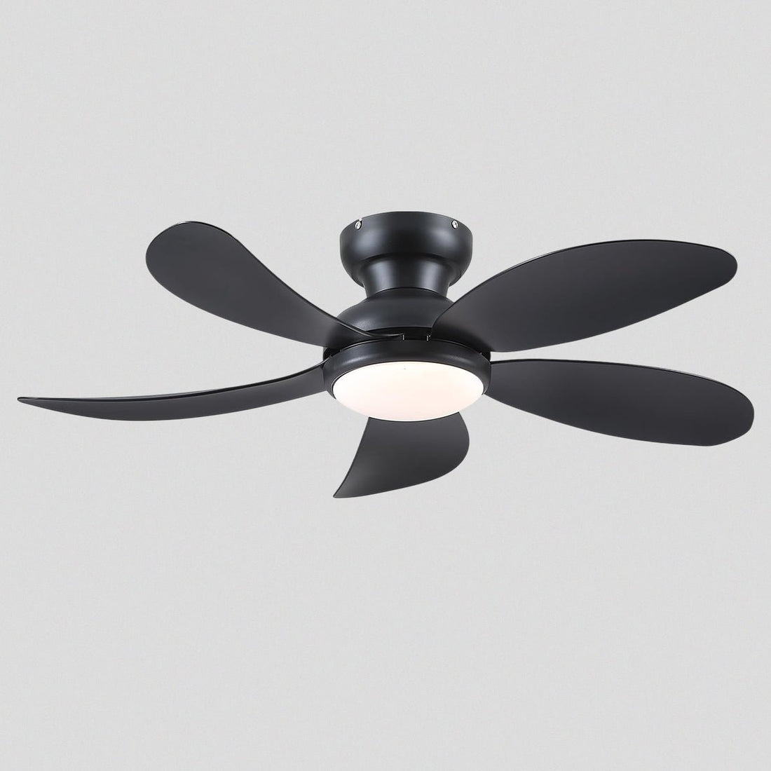 Graceshire contemporary ceiling fan - Camilalamps - CA - TO00782