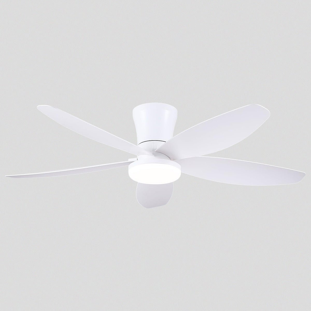 Indoor/Outdoor Recessed Black Ceiling Fan Light - Camilalamps - CA - 42IN - 42CW