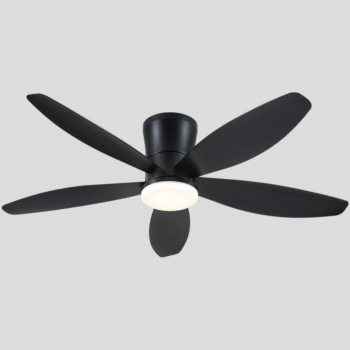 Indoor/Outdoor Recessed Black Ceiling Fan Light - Camilalamps - CA - 48IN - 48CB