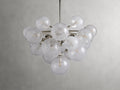 Mandoza Chandelier 19/37 Light - Camilalamps - CA - Mandoza - 102