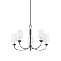 Montpelier Clear Functional Design Chandelier - Camilalamps - 5305 - AI