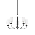Montpelier Clear Functional Design Chandelier - Camilalamps - 5305-1aI