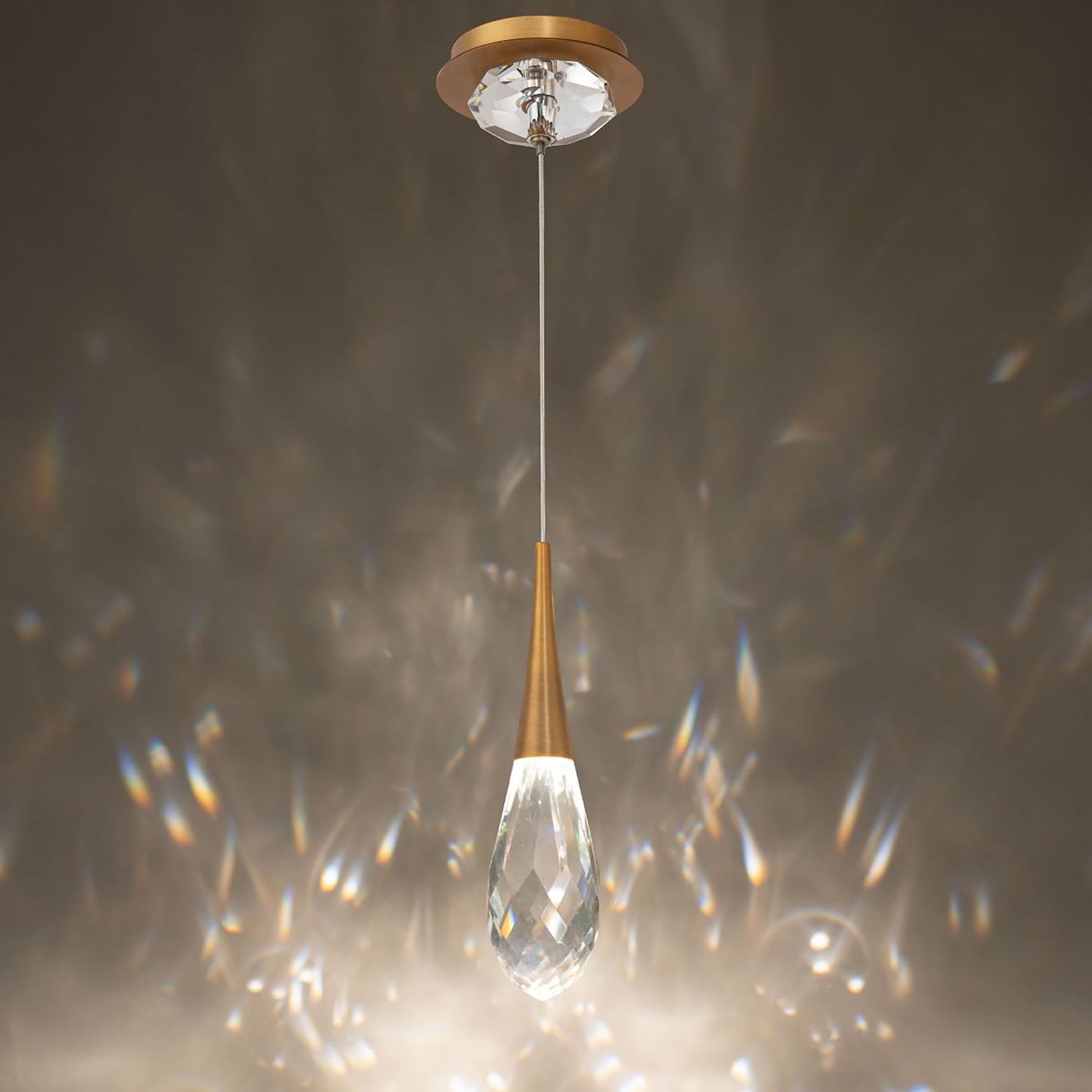 Hibiscus LED Mini Pendant Light - Camilalamps - CA - 21213 - AB