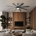 Ventora Fans with Lights - Camilalamps - CA - FA7074