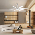 Ventora Fans with Lights - Camilalamps - CA - FA7074