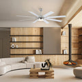 Ventora Fans with Lights - Camilalamps - CA - FA7074