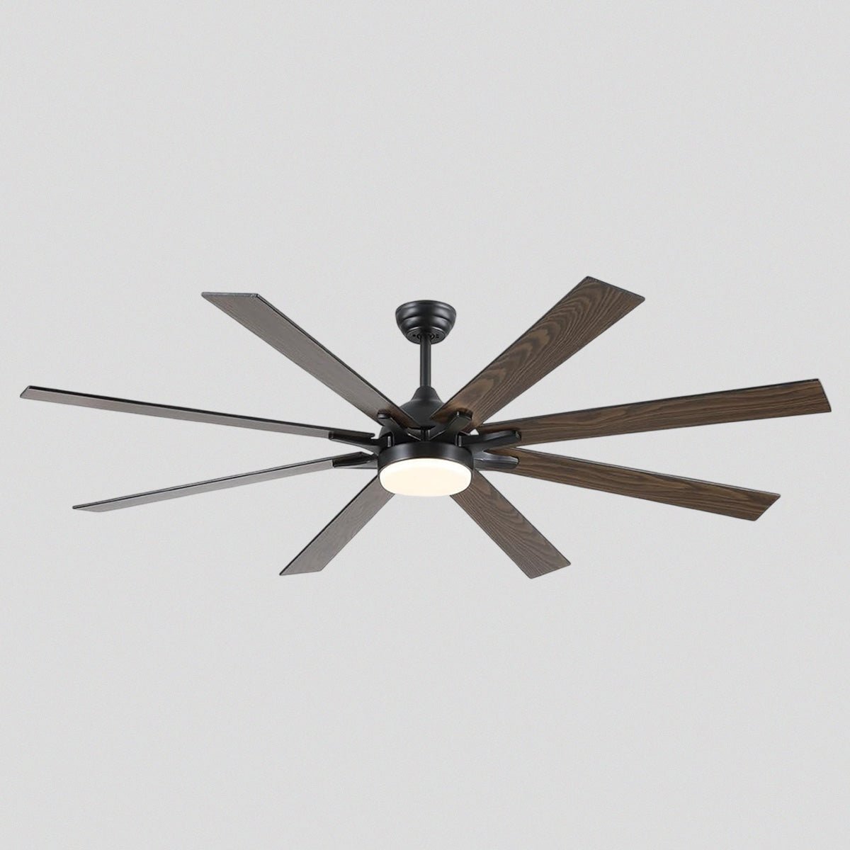 Ventora Fans with Lights - Camilalamps - CA - FA7074