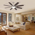 Zephyra Ceiling Fans with Lights 66